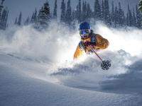 IM竞技体育平台-绝境中的艺术，韩国逆转比利时，苏亚雷斯惊艳四座的足球哲学