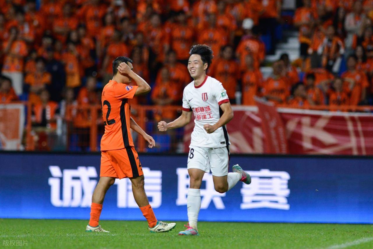 河北华夏幸福主场负于上海申花，中超积分下滑的简单介绍