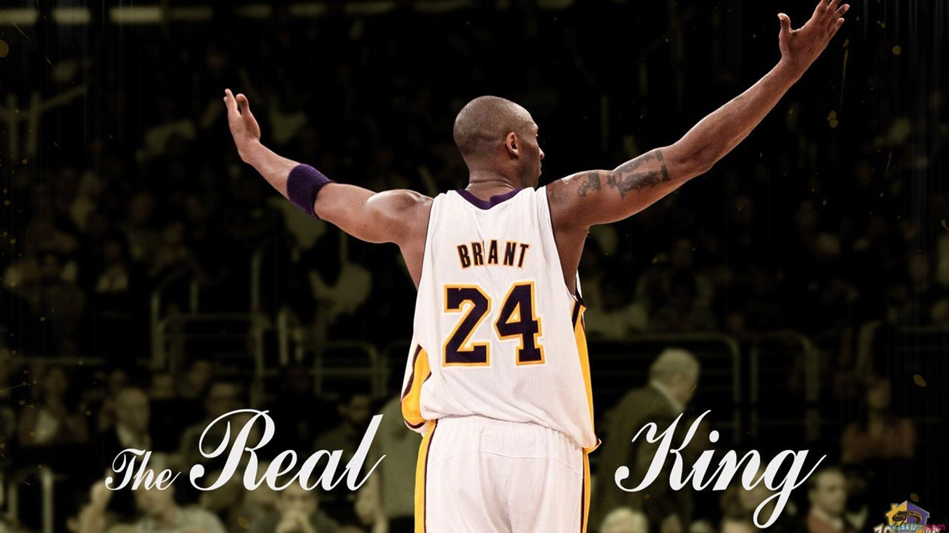 加维全程高能输出，西班牙新星如何让加拿大对阵比利时成为他的个人舞台